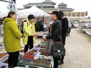 阿拉善展会爆料信息最新,绿色科技盛宴即将启幕 第1张 阿拉善展会爆料信息最新,绿色科技盛宴即将启幕 第1张